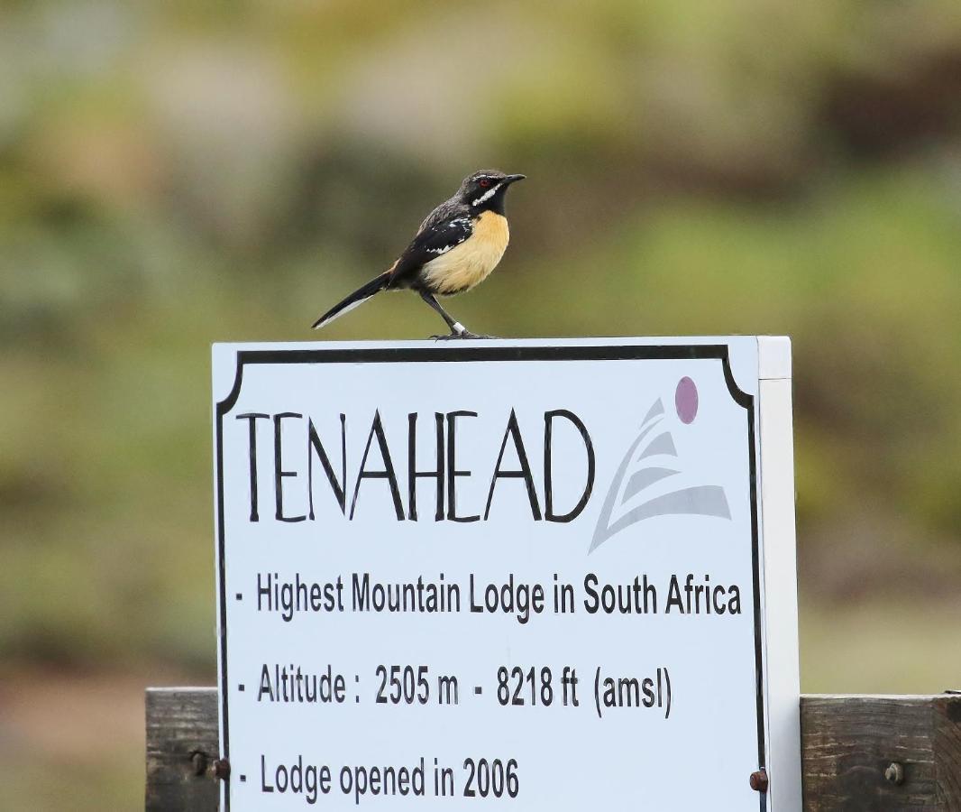 Tenahead Lodge & Spa Rhodes Bagian luar foto